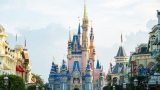 Disney World Black Friday Deals, Special Offers & Discounts